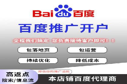 百度平台推广案例：低成本营销的成功之道